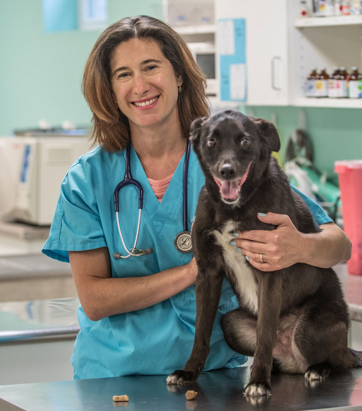 Dr. Hess holds a dog.